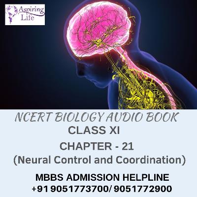 NCERT Class XI Biology-Chapter-21 (Neural Control and Coordination)