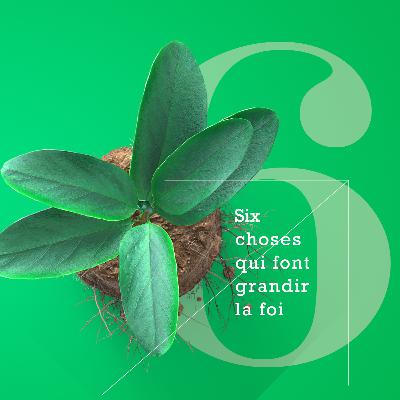 6 choses qui font grandir la foi 3/3 - La discipline personnelle 6 choses qui font grandir la foi 3/3 - La discipline personnelle