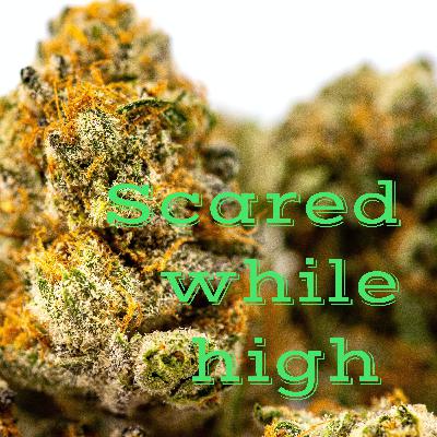 Scared while high  (Trailer) Scared while high  (Trailer)