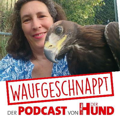 Tierschutz-Verstöße - Dr. Tatjana Rusch