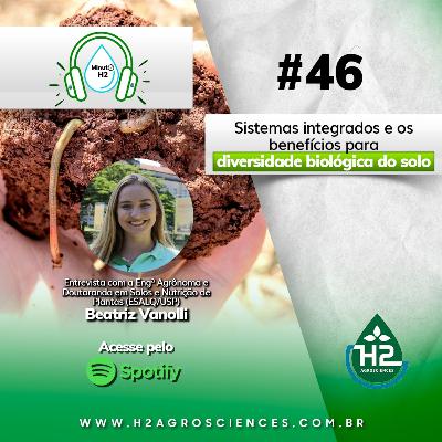 Sistemas integrados e os benefícios para diversidade biológica do solo