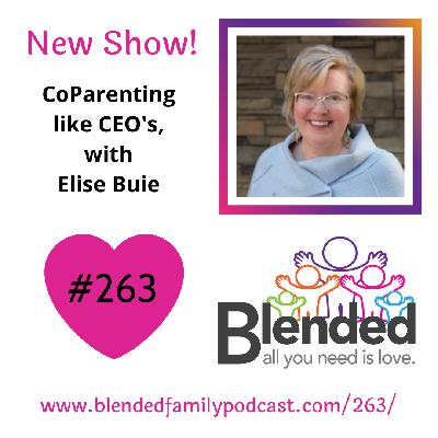 Co Parenting Like CEO's, with Elise Buie!