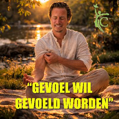 Meditatie – Gevoel wil gevoeld worden