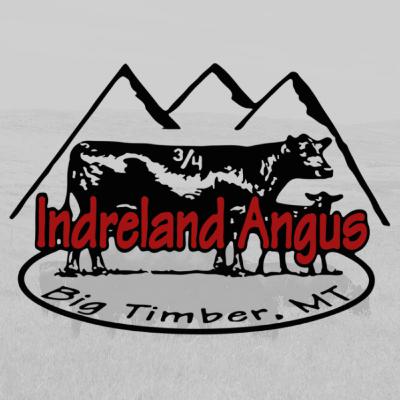 Betsy Indreland - Indreland Ranch Angus Beef - Big Timber, MT