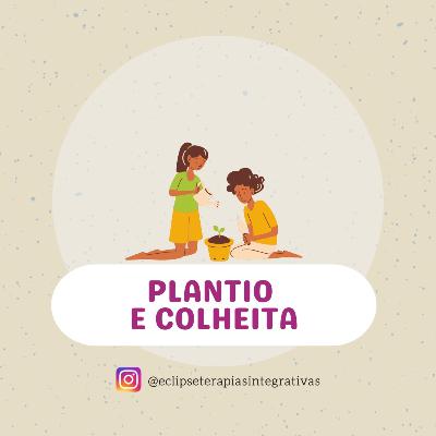 Jornada da prosperidade 4/9 Colheita