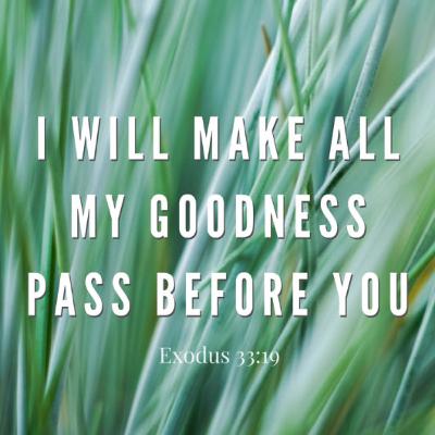 Daily Audio Torah ~ Oct 11, 2025 ~ Let Your Goodness Pass Before Me...