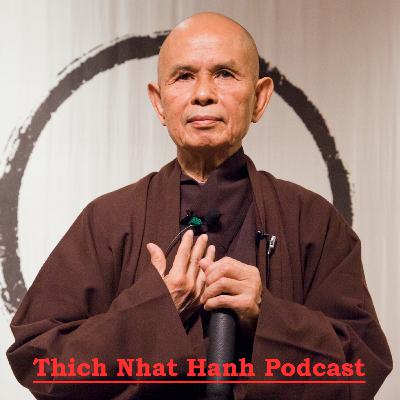 053. Continuing our Spiritual and Blood Ancestors (C) – Zen Master Thich Nhat Hanh