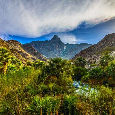 Baja for Beginners Baja for Beginners