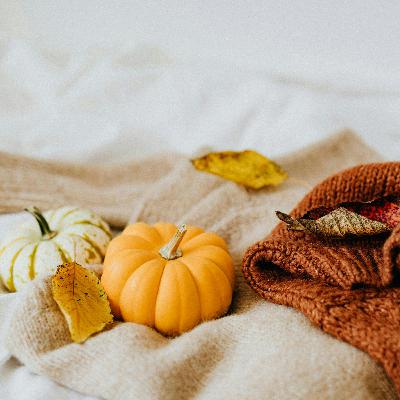The Best Fall Events in Houston for Under $20
