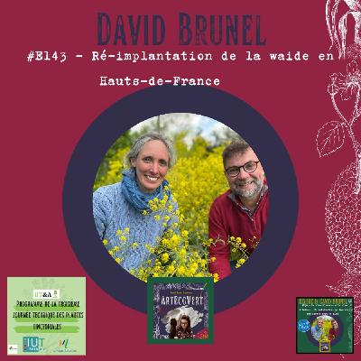 David Brunel - Ré implantation de la Waide en Hauts-de-France (Isatis Tinctoria)