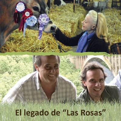 8: El legado de Las Rosas