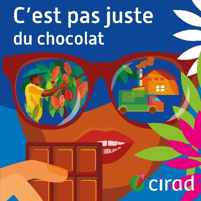 [SAISON 6] C'est pas juste du chocolat