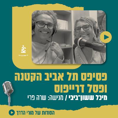 פרק 10 - פסיפס תל אביב הקטנה ופסל דרייפוס, עם מיכל ששון־ביבי