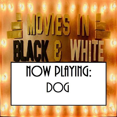 Episode 80: Dog Episode 80: Dog