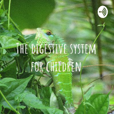 The digestive system