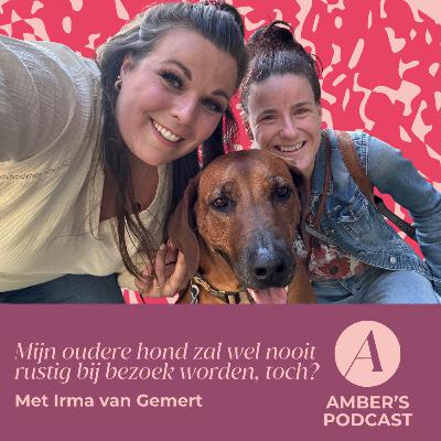 Mijn oudere hond zal wel nooit rustig bij bezoek worden, toch? #152 Mijn oudere hond zal wel nooit rustig bij bezoek worden, toch? #152