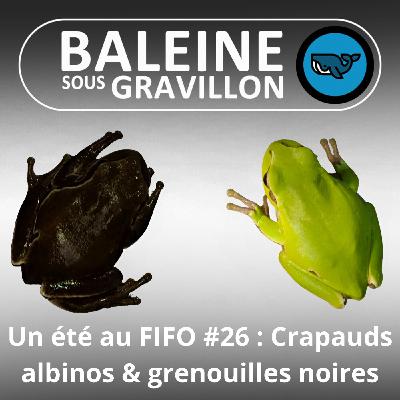 BEST OF D'ÉTÉ #26 : Crapauds albinos et Grenouilles noires (Corentin Foucher et David Leduc, herpétologues)