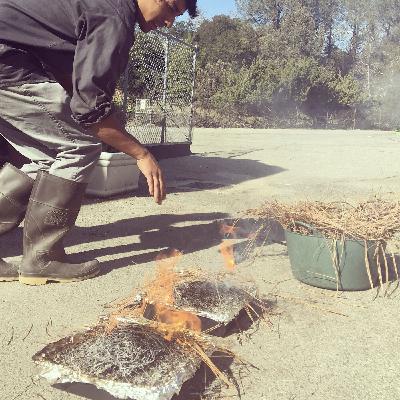 What a Seed Wants, What a Seed Needs: Secrets from Germination Trials What a Seed Wants, What a Seed Needs: Secrets from Germination Trials