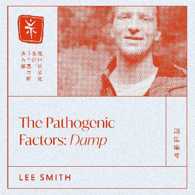 03: The Pathogenic Factors: Damp, with TCM Dr. Lee Smith