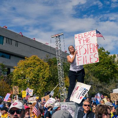 Epstein files: Hindi