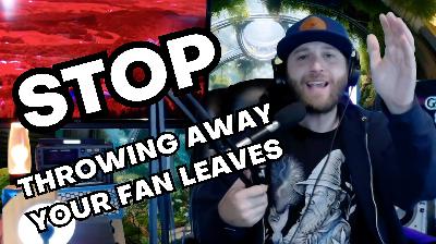 🦫 DON'T Waste Your Fan Leaves! OKCalyxx on Nature and Farming