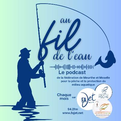 Les petits cours d’eau, un patrimoine vital sous pression