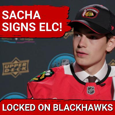 Chicago Blackhawks Sign Sacha Boisvert | Anton Frondell Joins Elite SHL Company Chicago Blackhawks Sign Sacha Boisvert | Anton Frondell Joins Elite SHL Company