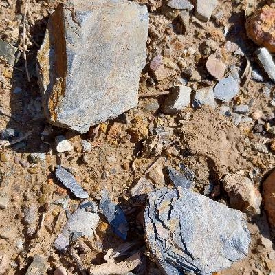 19. Un viatge en el temps a través de les pedres