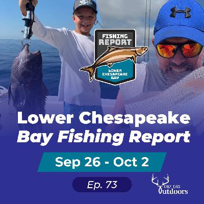 Sea Bass, Sonar Adjustment & Inshore Puppy Drum Sea Bass, Sonar Adjustment & Inshore Puppy Drum