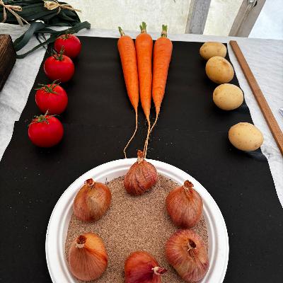 Growing Together - Late September 2024: The Steep Flower Show and getting ready for autumn