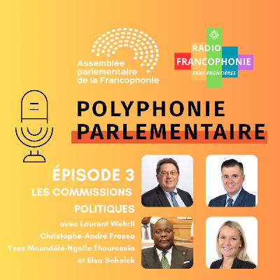 Les commissions politiques au sein de l'APF