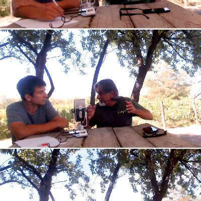 XI Capítulo agricultura y vinos biodinámicos