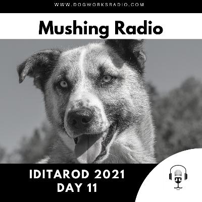 Iditarod 2021 Daily Coverage | Day 11