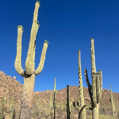 S6E1: Ken's Western US Roadtrip - SW Deserts