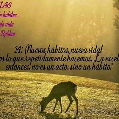 14: ¡Nuevos hábitos, nueva vida! 14: ¡Nuevos hábitos, nueva vida!