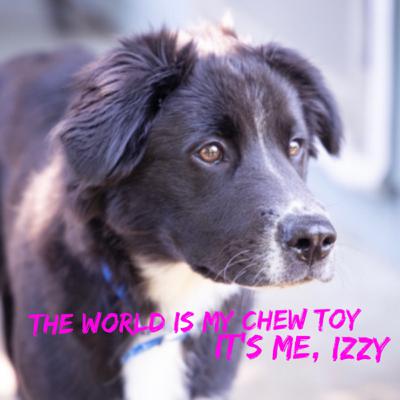 88: The World is My Chew Toy