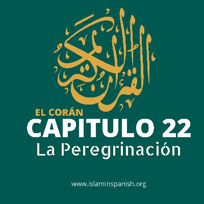 Capítulo 22 - La Peregrinación