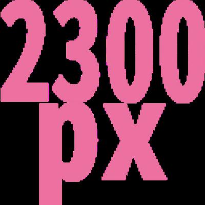 2300 x 2300