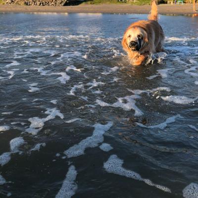 La sirenita encuentra a Nani La sirenita encuentra a Nani