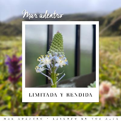 08. Limitada y rendida