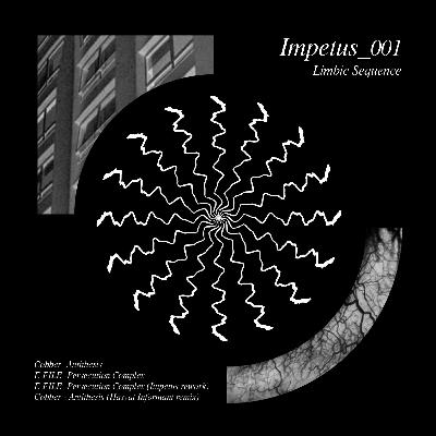 Premiere: E-FILE- Persecution Complex (Impetus_001)