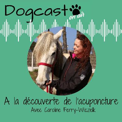 Episode 1 - A la découverte de l'acuponcture