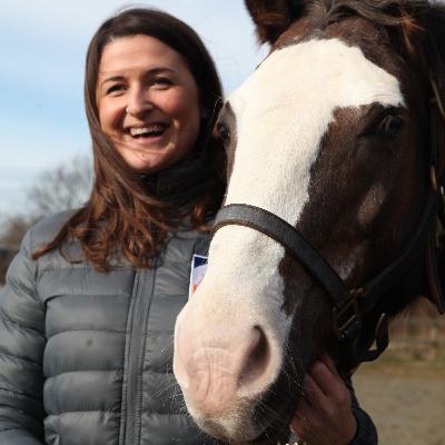 Stories from a city farm-Why do horses need hair cuts?