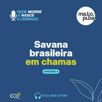 #050 - Onde morre e nasce o Cerrado | Savana brasileira em chamas