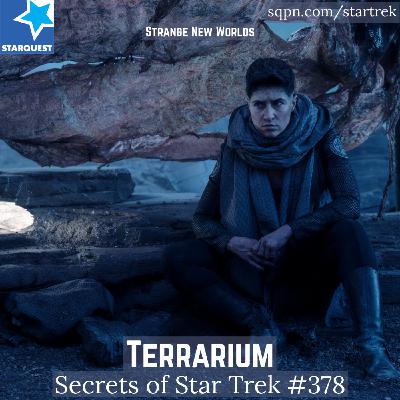 Terrarium (SNW)