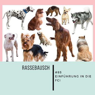 #85 Rassebausch: Einführung in die FCI