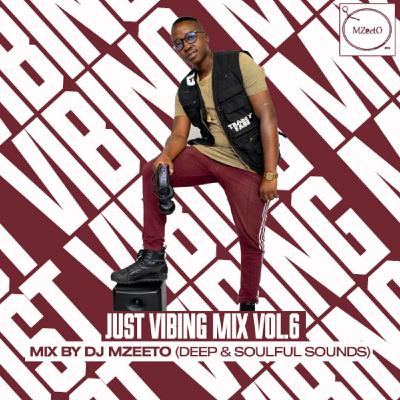 JUST VIBING MIX VOLUME 06
