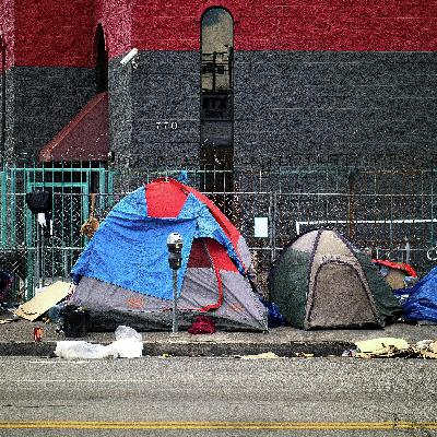 Party for Two | Homelessness Crisis | Blacklock's Report | Canada Advances in WBC Party for Two | Homelessness Crisis | Blacklock's Report | Canada Advances in WBC