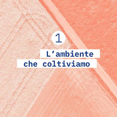 1. L'ambiente che coltiviamo