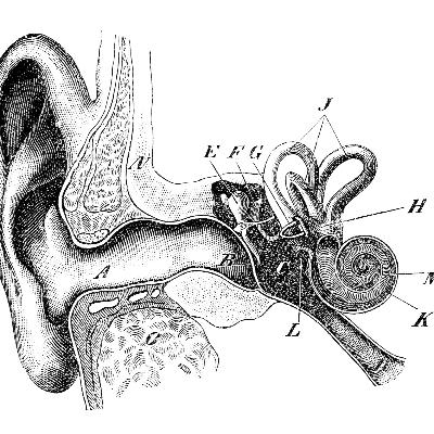 Arcturian Hearing Healing Arcturian Hearing Healing